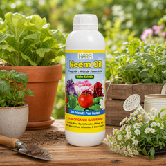 Neem Oil - 500 ml (Cold Pressed, Water Soluble) نیم آئل