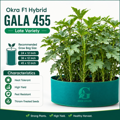 Okra F1 Hybrid - GALA 455  (Summer Late Variety)