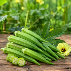 Okra F1 Hybrid - GALA 455  (Summer Late Variety)