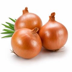 Nasarpuri red onions with healthy green tops and mature reddish-purple bulbs – traditional onion seeds for home gardening in Pakistan