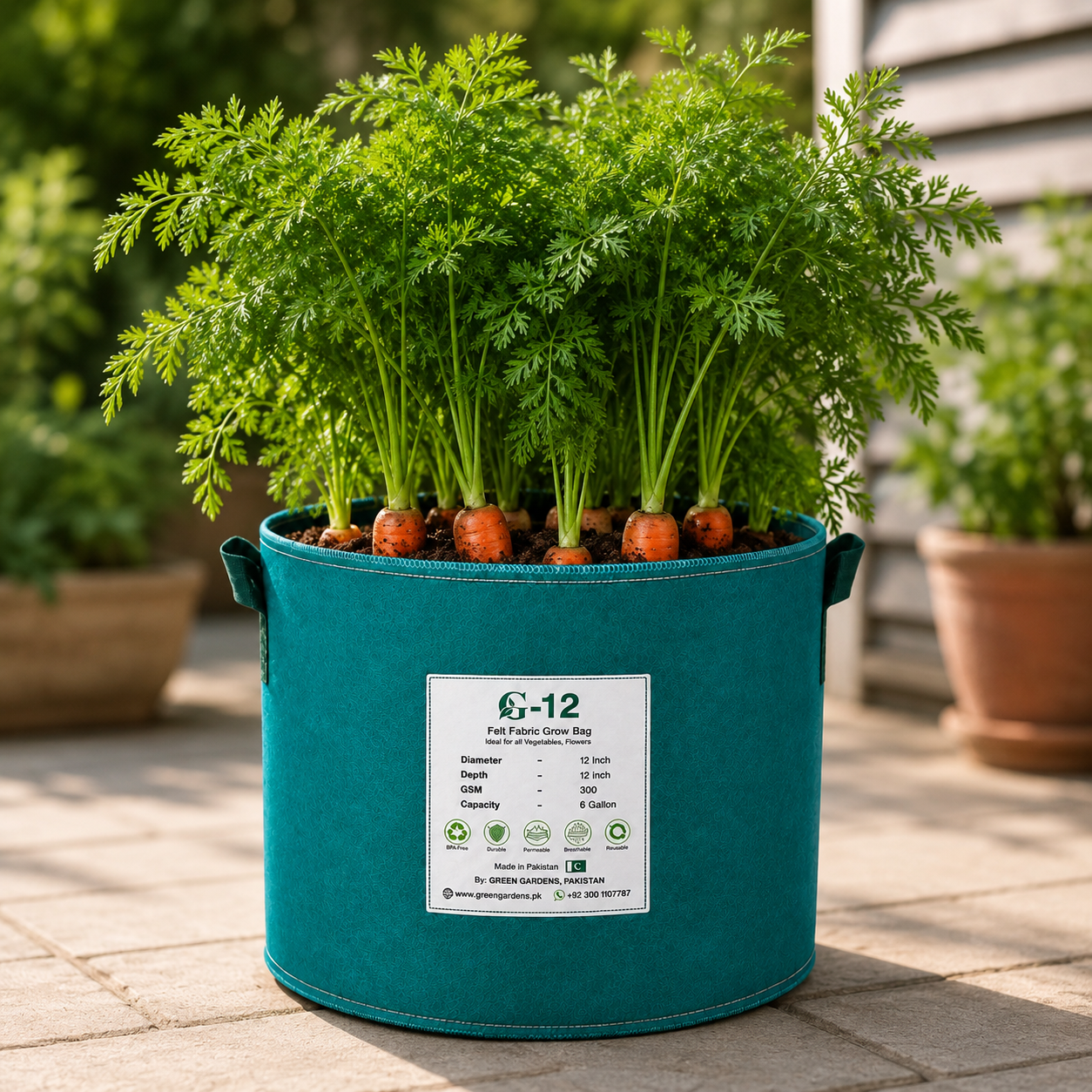 Fresh orange carrots with bright roots and green tops – winter carrot seeds for home gardening in Pakistan