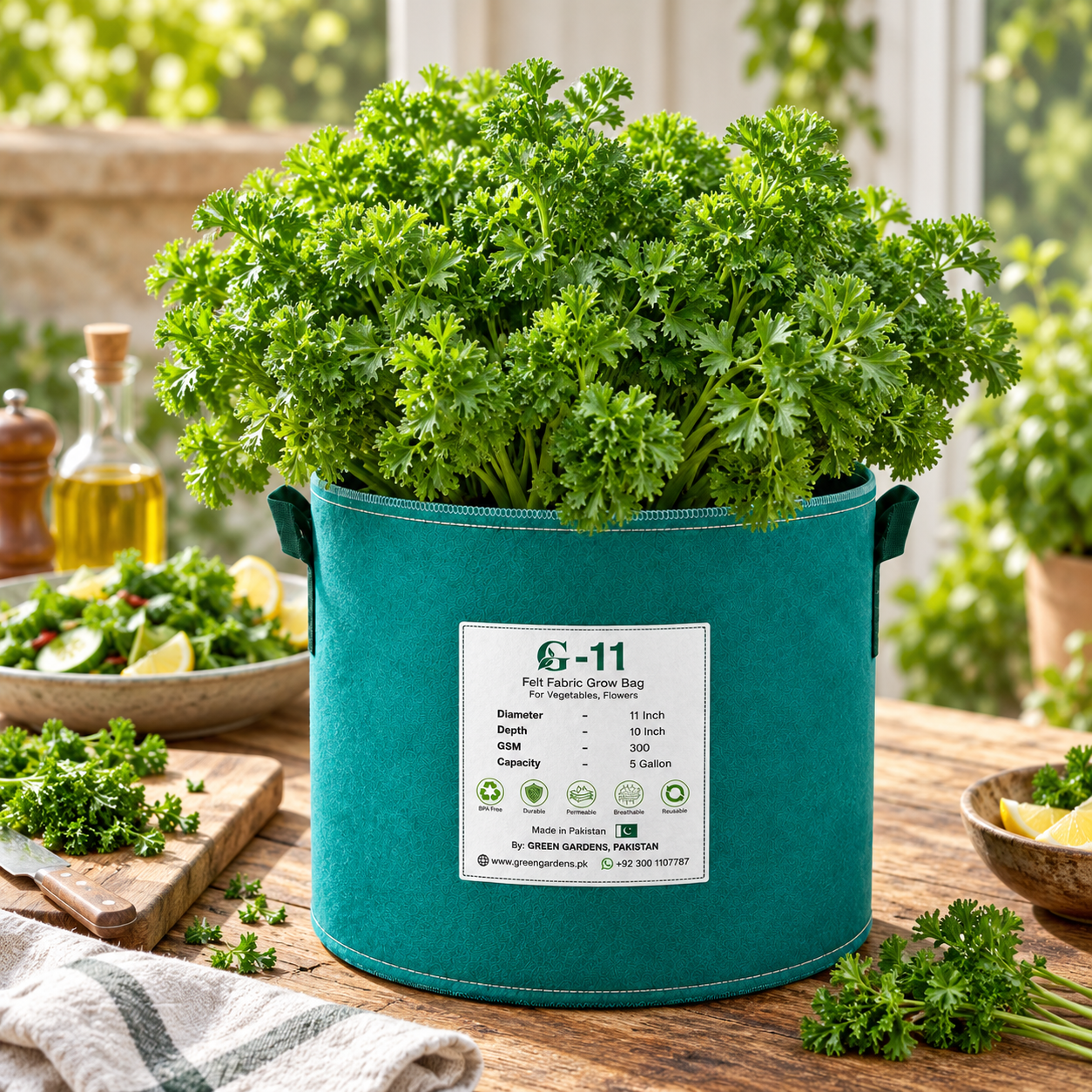 Fresh Curly Leaf Parsley plant with dense bright-green curled foliage – Petroselinum crispum seeds for winter and home gardening in Pakistan