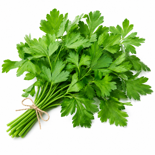 Italian Flat Leaf Parsley Seeds (WINTER)