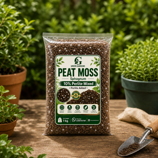 Peat Moss Sphagnum - 1 Kg (Premium Quality)