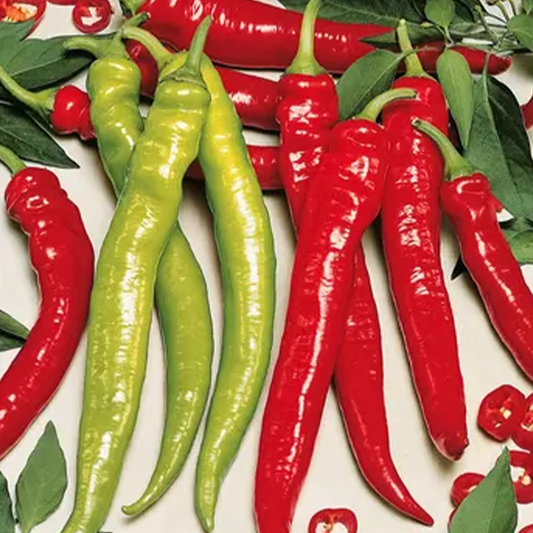 Peperone Lombardo Seeds (Italian)