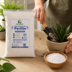 Horticultural Perlite 250g – Potting Mix Soil Conditioner