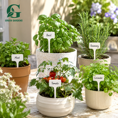 Plant Tags – 6 × 3.2 Inch | Reusable | Pack of 5
