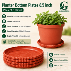Planter Bottom Plate - 8.5 inch (Pack OF 5)