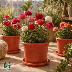 Planter Bottom Plate - 8.5 inch (Pack OF 5)