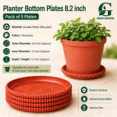 Planter Bottom Plate - 8.2 inch (Pack OF 5)