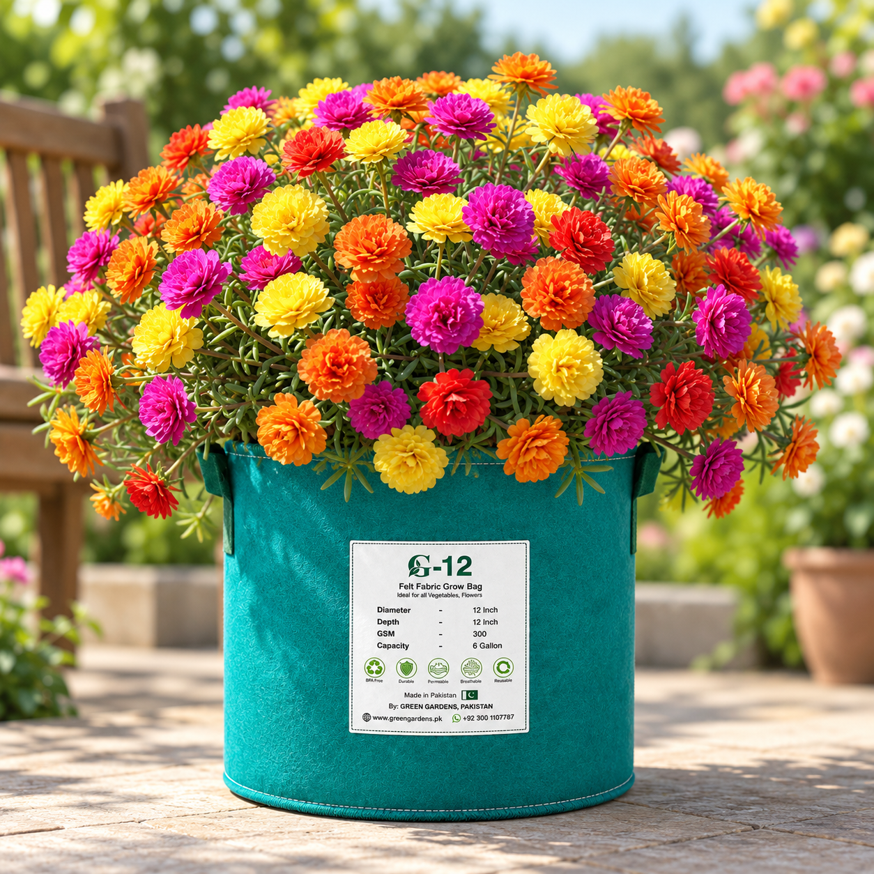 Portulaca Extra Double Mix Moss Rose with colourful extra-double rose-like summer flowers – heat-tolerant flower seeds for beds pots hanging baskets and grow bags in Pakistan
