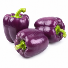 Purple Sweet Pepper Oda with glossy dark purple thick-walled fruits – Franchi vegetable seeds Pakistan