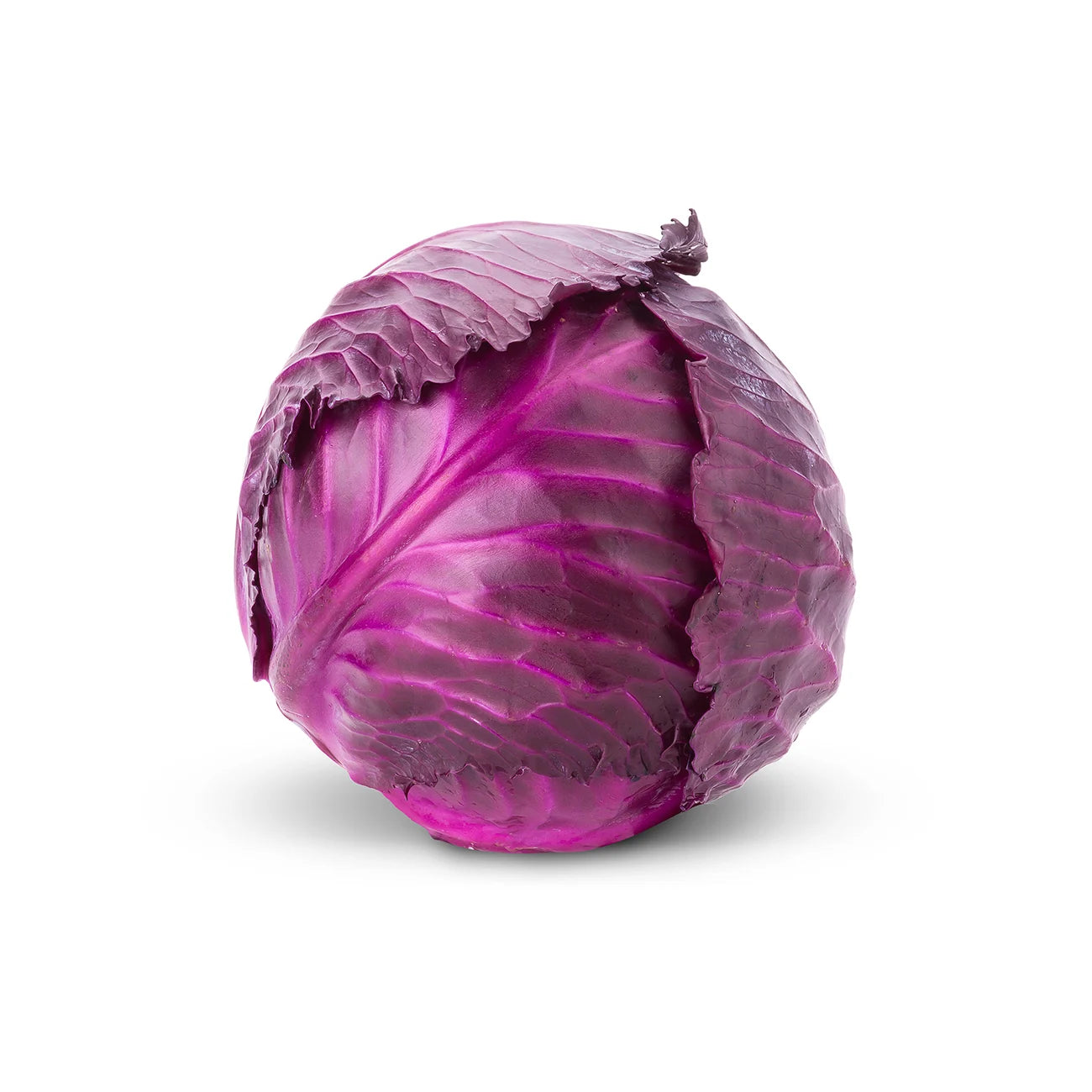Purple Cabbage (Red Jewel) Seeds - F1 Hybrid {WINTER}