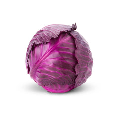 Purple Cabbage (Red Jewel) Seeds - F1 Hybrid {WINTER}