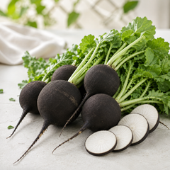 Black Round Radish with dark skin and white flesh – winter radish seeds for kitchen gardening in Pakistan
