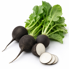 Radish Black Round Seeds | Winter Radish Seeds in Pakistan | WINTER