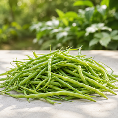 Fresh green Mongray radish pods grown from winter vegetable seeds