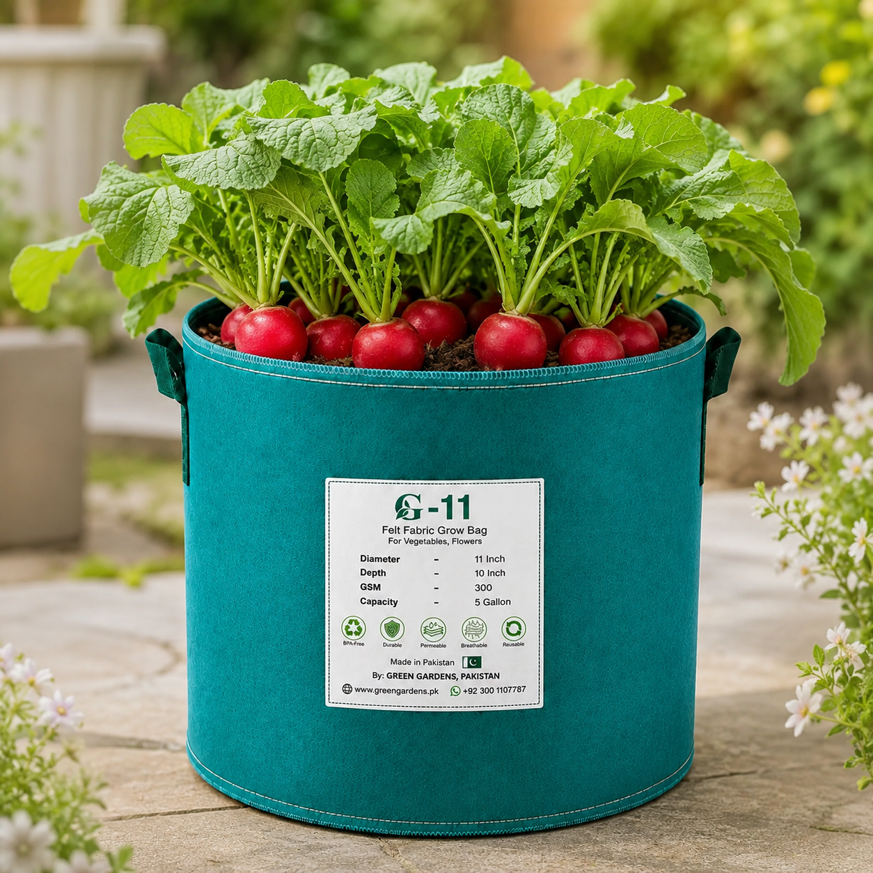 Red Round Heirloom Radish with bright red roots and crisp white flesh – radish seeds for home gardening in Pakistan