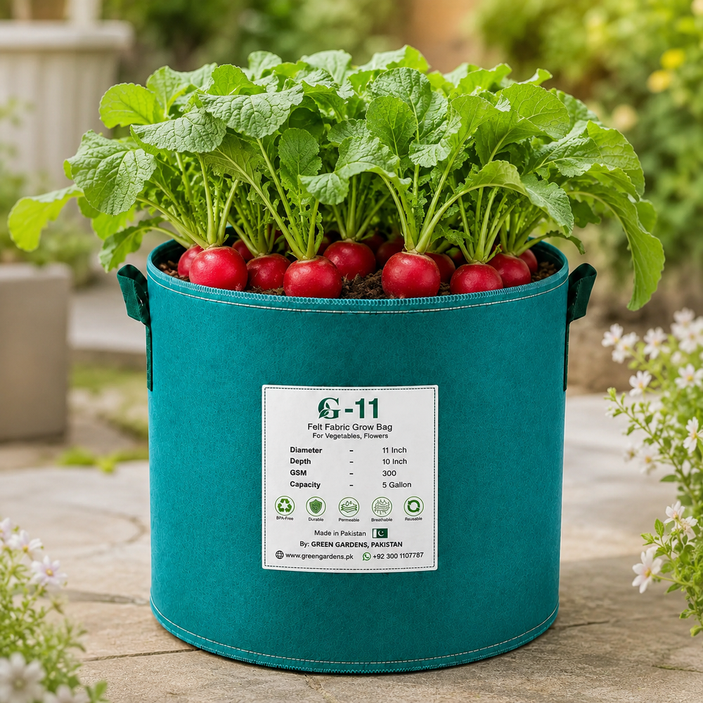 Red Round Heirloom Radish with bright red roots and crisp white flesh – radish seeds for home gardening in Pakistan