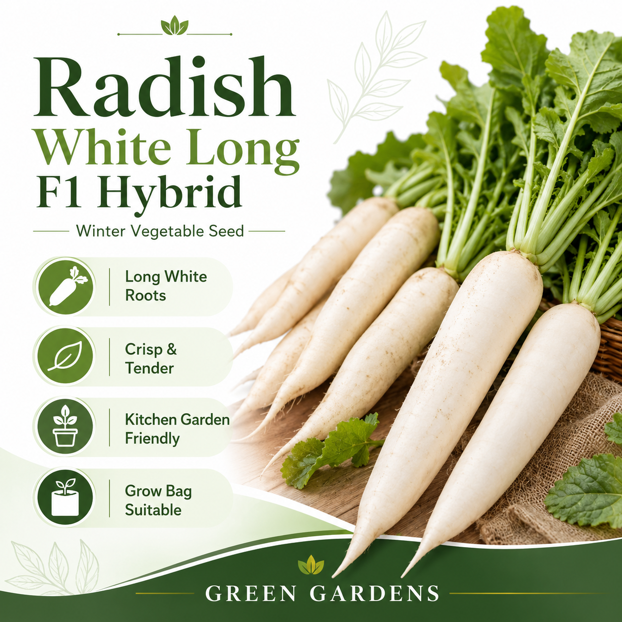 White Long F1 Hybrid Radish with smooth elongated white roots – winter radish seeds for kitchen gardening in Pakistan