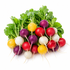 Rainbow Radish Mix Seeds – Italian Ravanelli Colorati (WINTER)