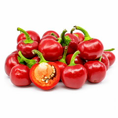 Healthy Red Ball Chilli plant with distinctive round green and bright-red fruits – round hot chilli seeds for home gardening in Pakistan