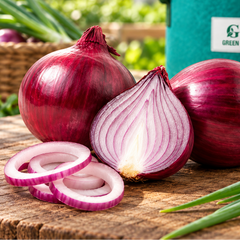 Fresh red onions with reddish-purple bulbs and healthy green tops – Red Onion seeds for winter and home gardening in Pakistan