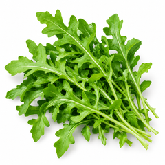 Fresh green Rocket Salad leaves with characteristic lobed shape – Arugula Rucola seeds for winter salads and home gardening in Pakistan