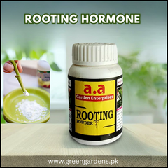 Rooting Hormone Powder
