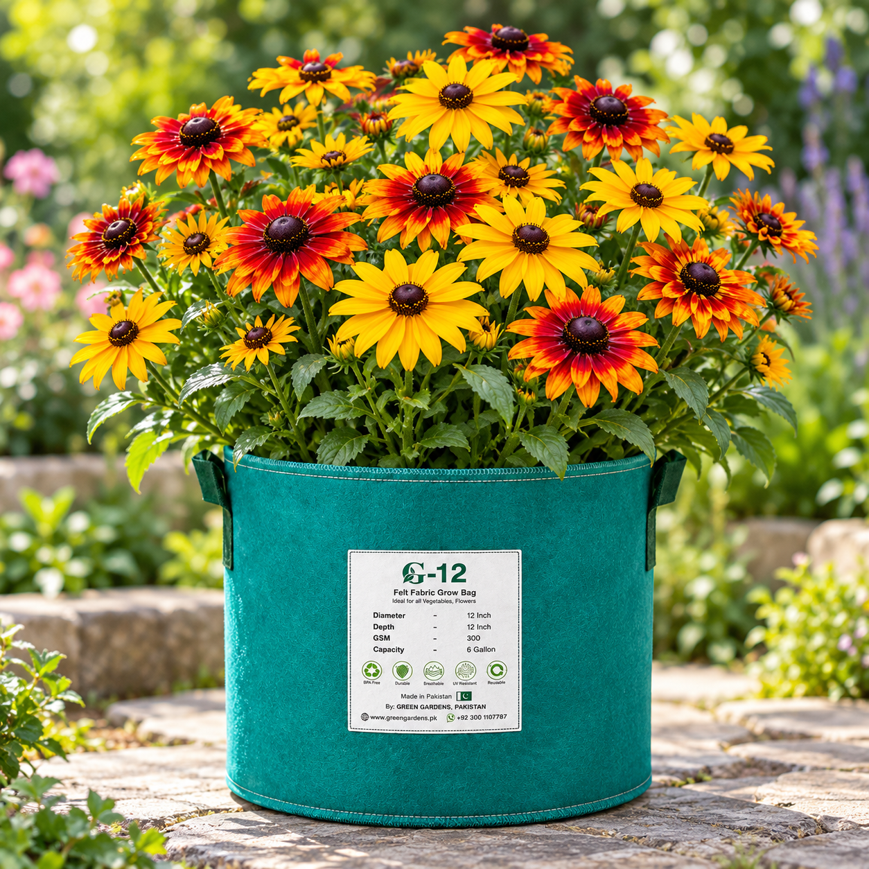 Rudbeckia Mix Coneflowers with colourful warm-toned flowers and dark centres – summer flower seeds for beds pots and grow bags in Pakistan