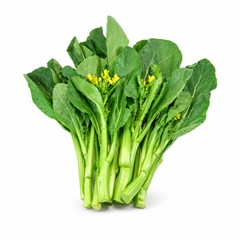 Fresh broad green Sarson Saag mustard leaves growing on healthy Brassica juncea plants – traditional winter saag seeds for home gardening in Pakistan
