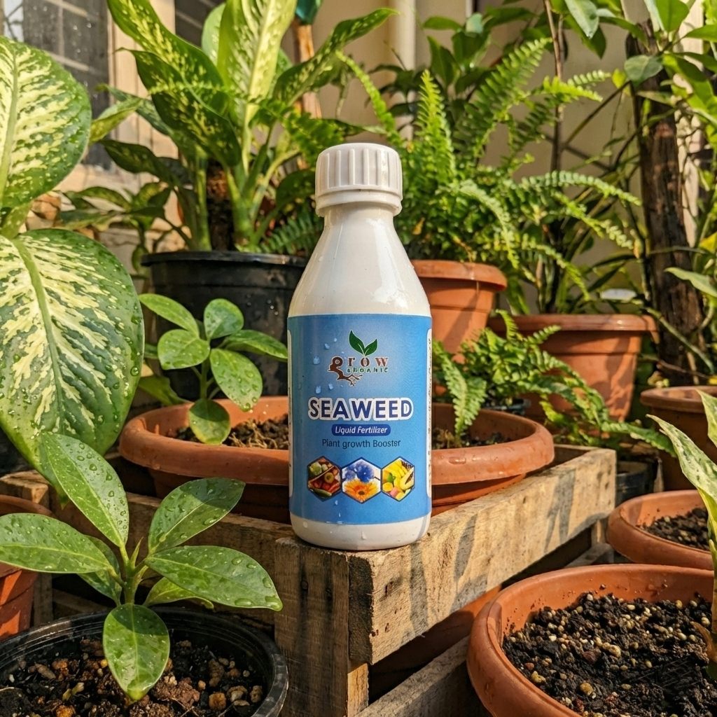 Seaweed Liquid Fertilizer 100 ml