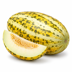 Snap Melon Phut Kakri elongated light green fruits growing on healthy summer melon vines with green leaves – Cucumis melo momordica seeds Pakistan