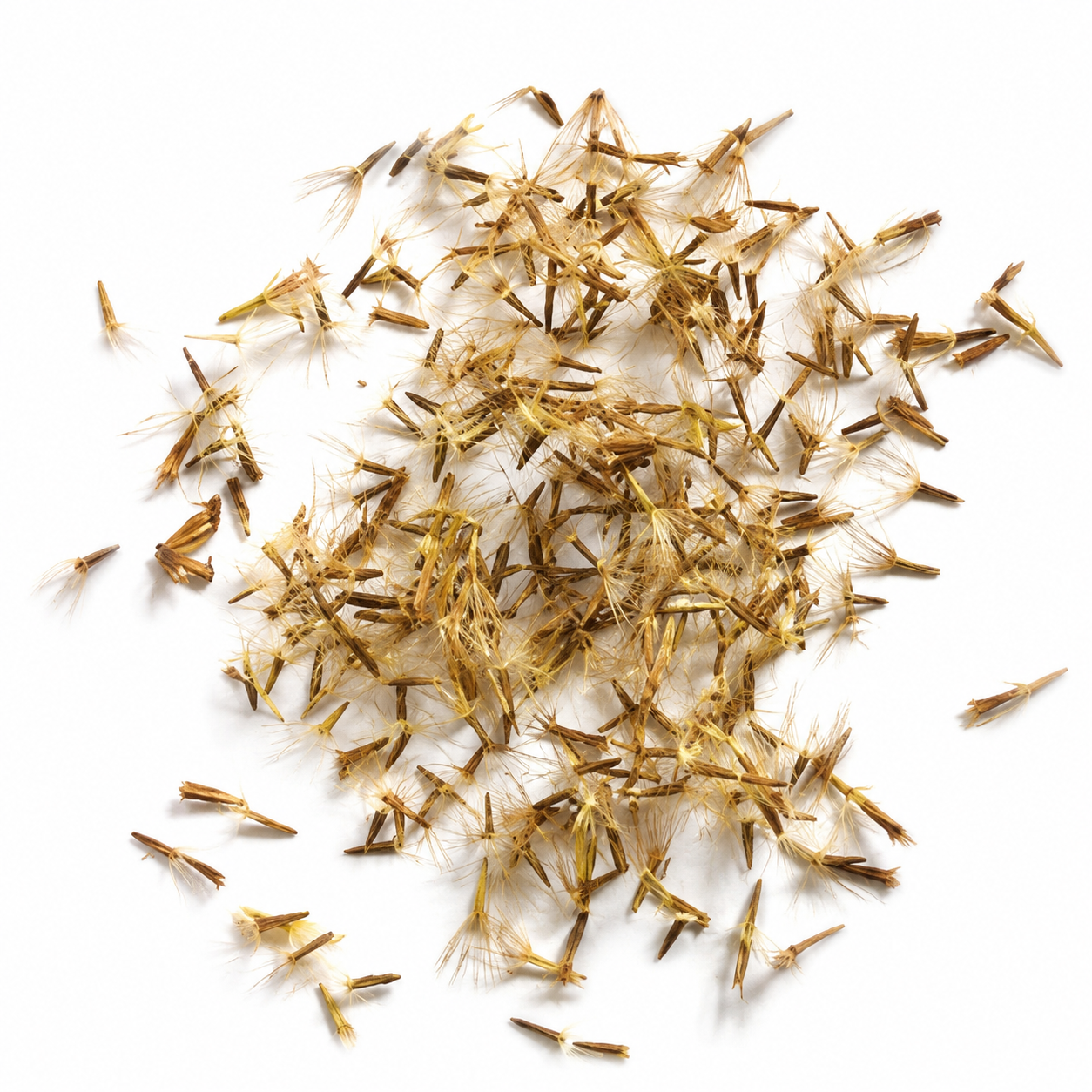 Stevia (Seeds)  سٹیویا کے بیج
