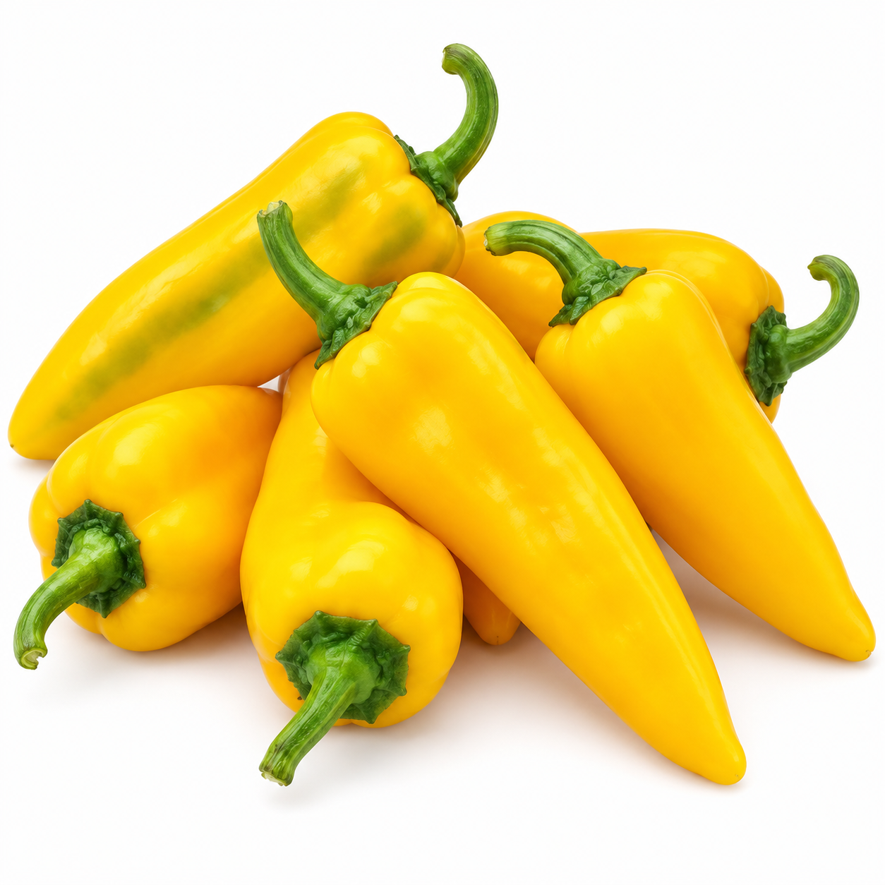 Healthy Ora Long Sweet Pepper plant with elongated green and ripe sweet pepper fruits – long Capsicum annuum seeds for home gardening in Pakistan