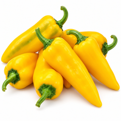 Healthy Ora Long Sweet Pepper plant with elongated green and ripe sweet pepper fruits – long Capsicum annuum seeds for home gardening in Pakistan