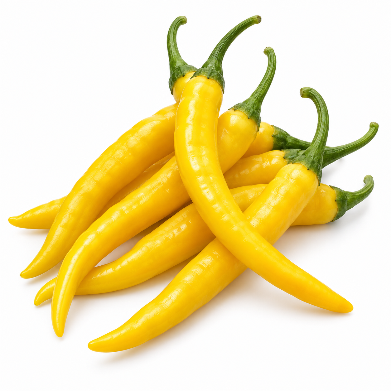 Romanian Giallo Sweet Pepper plant with green and golden-yellow mature fruits – yellow Capsicum annuum seeds for home gardening in Pakistan
