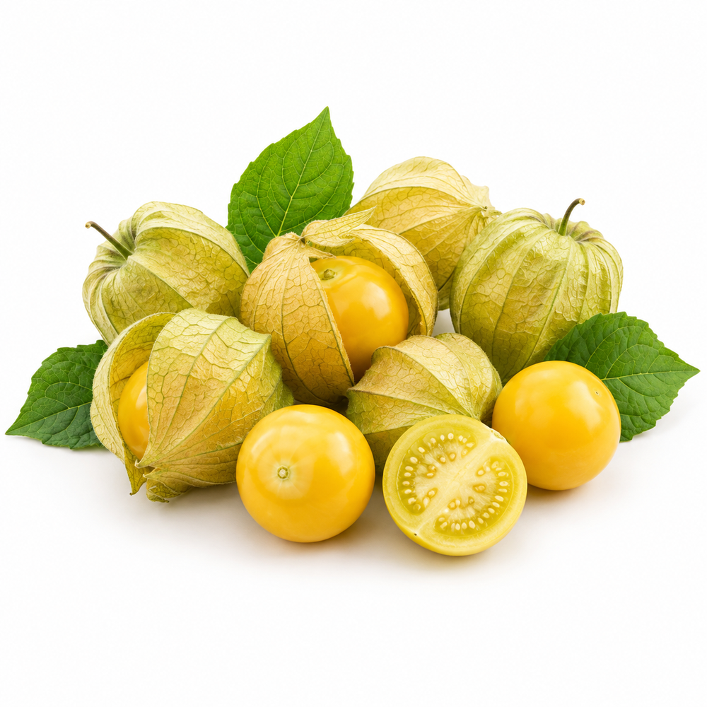 Green tomatillo fruits enclosed in papery husks on a healthy branching plant – Mexican husk tomato seeds for home gardening in Pakistan