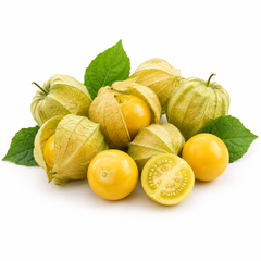 Green tomatillo fruits enclosed in papery husks on a healthy branching plant – Mexican husk tomato seeds for home gardening in Pakistan