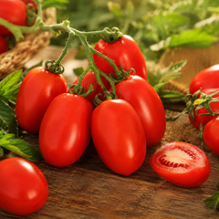 Syngenta TO-1057 F1 Hybrid deep-red glossy tomatoes on a vigorous semi-indeterminate plant – hybrid tomato seeds for home gardening in Pakistan