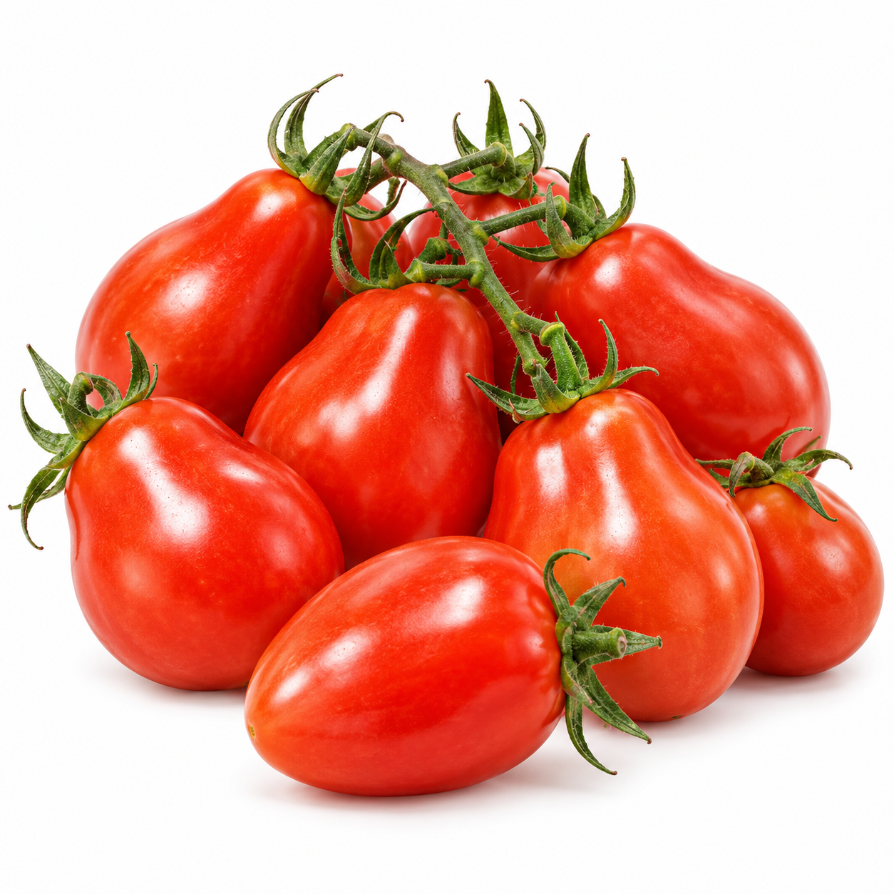 Red Pear Tomato plant with bright-red pear-shaped ripe fruits growing in clusters on healthy green vines – tomato seeds for kitchen gardens and grow bags Pakistan