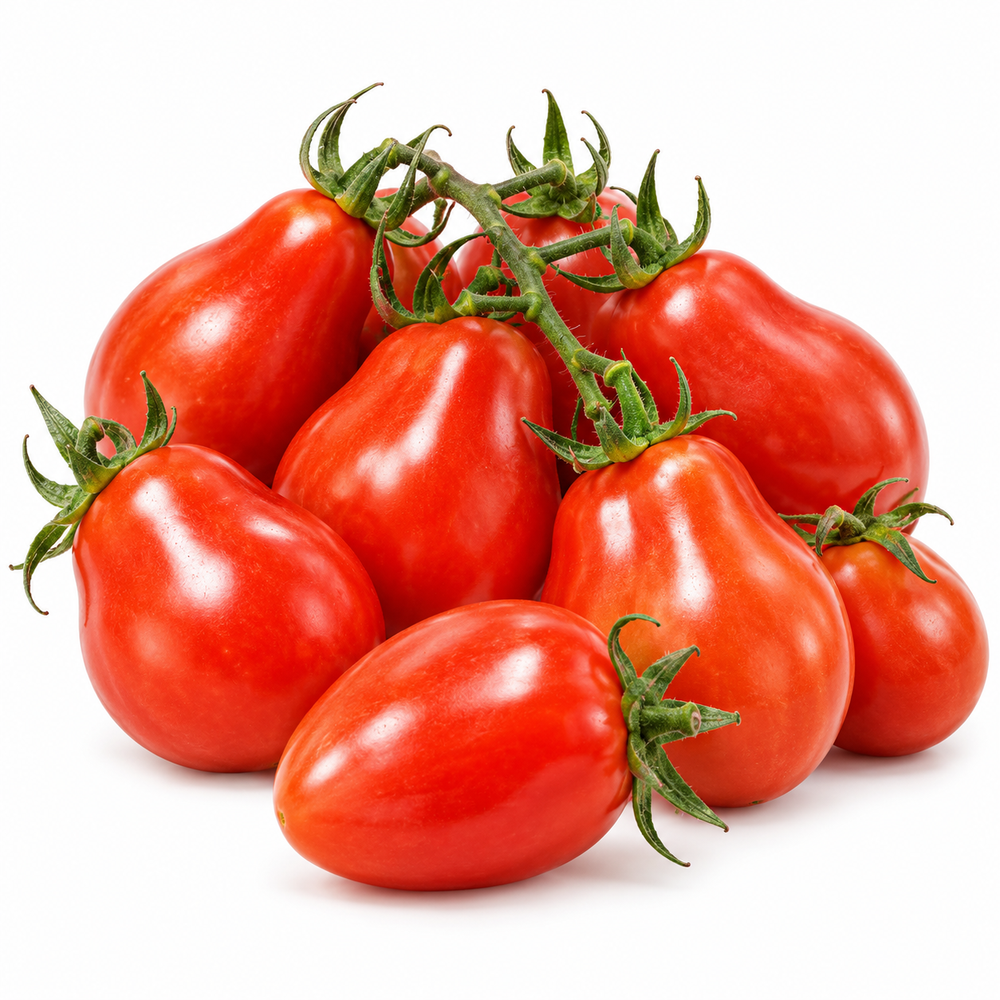 Red Pear Tomato plant with bright-red pear-shaped ripe fruits growing in clusters on healthy green vines – tomato seeds for kitchen gardens and grow bags Pakistan
