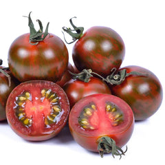 Black Opal indeterminate cherry tomatoes with dark mahogany-purple round fruits on vigorous vines – exotic tomato seeds for home gardening in Pakistan