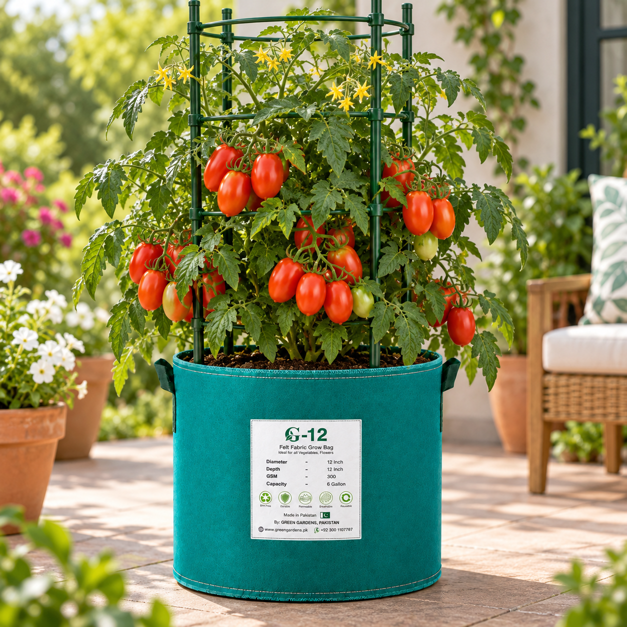 Rio Grande Determinate Plum Tomato – Firm Red Oblong Tomatoes | GREEN GARDENS Pakistan