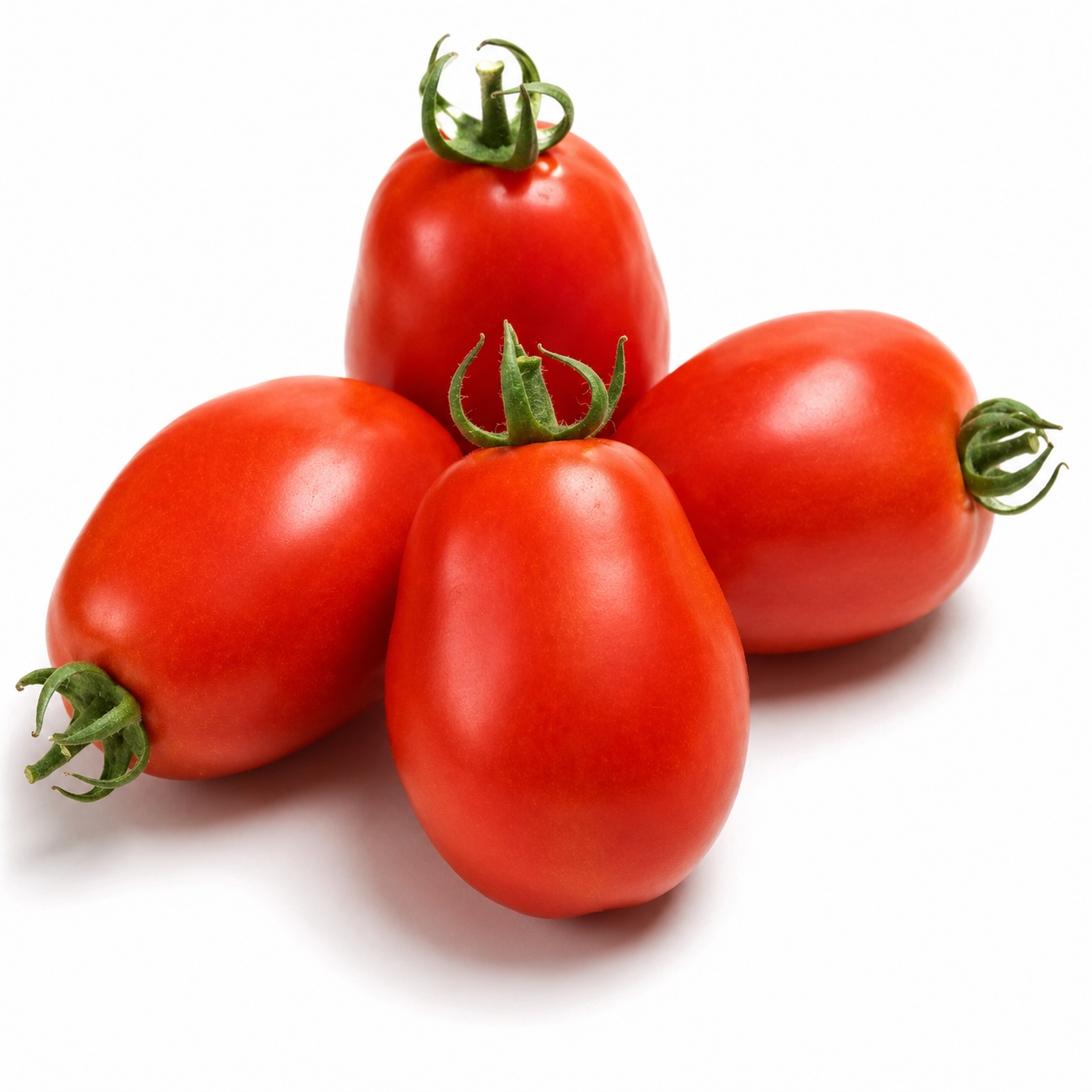 Rio Grande Determinate Plum Tomato – Firm Red Oblong Tomatoes | GREEN GARDENS Pakistan
