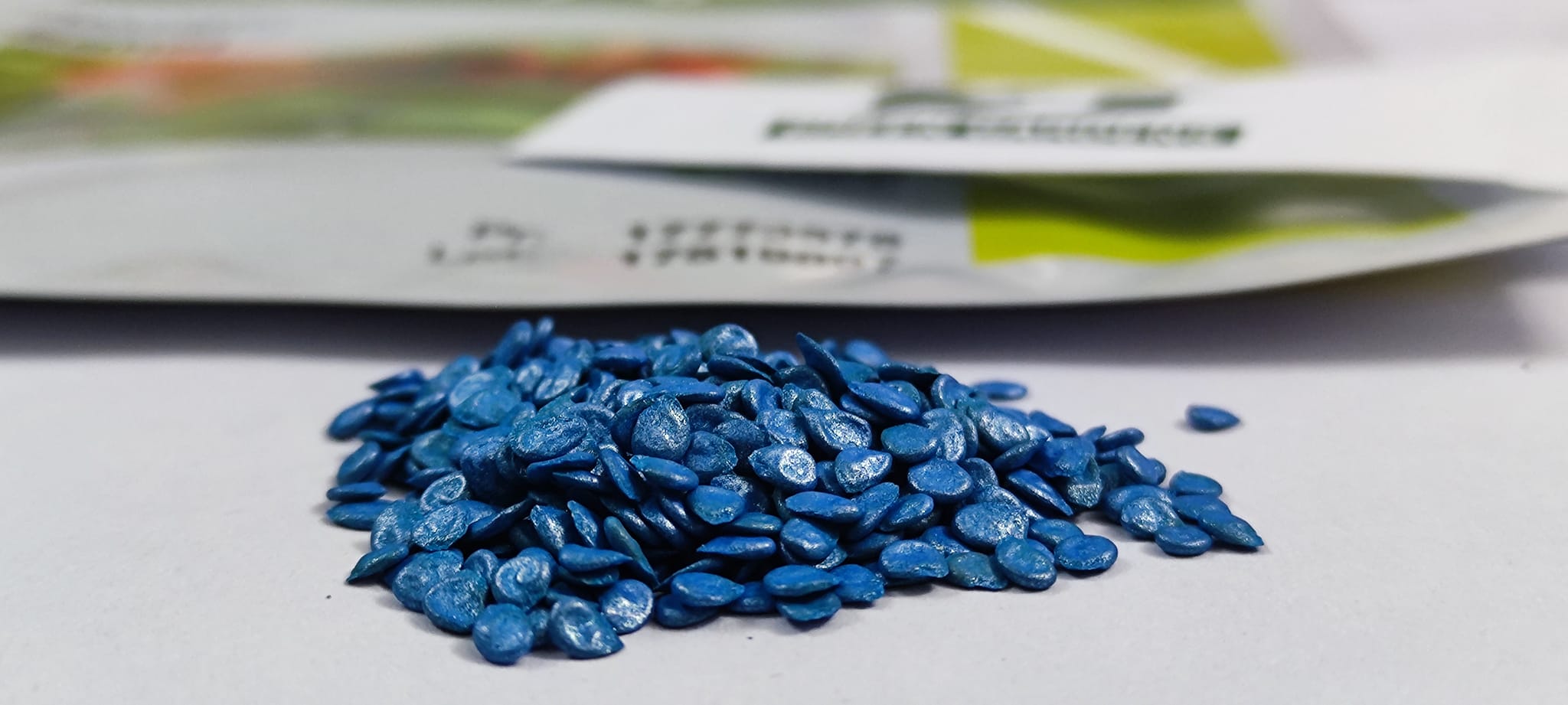 Tomato Seeds - Sahel F1, Hybrid (Indeterminate)  {WINTER} بیل والا ٹماٹر