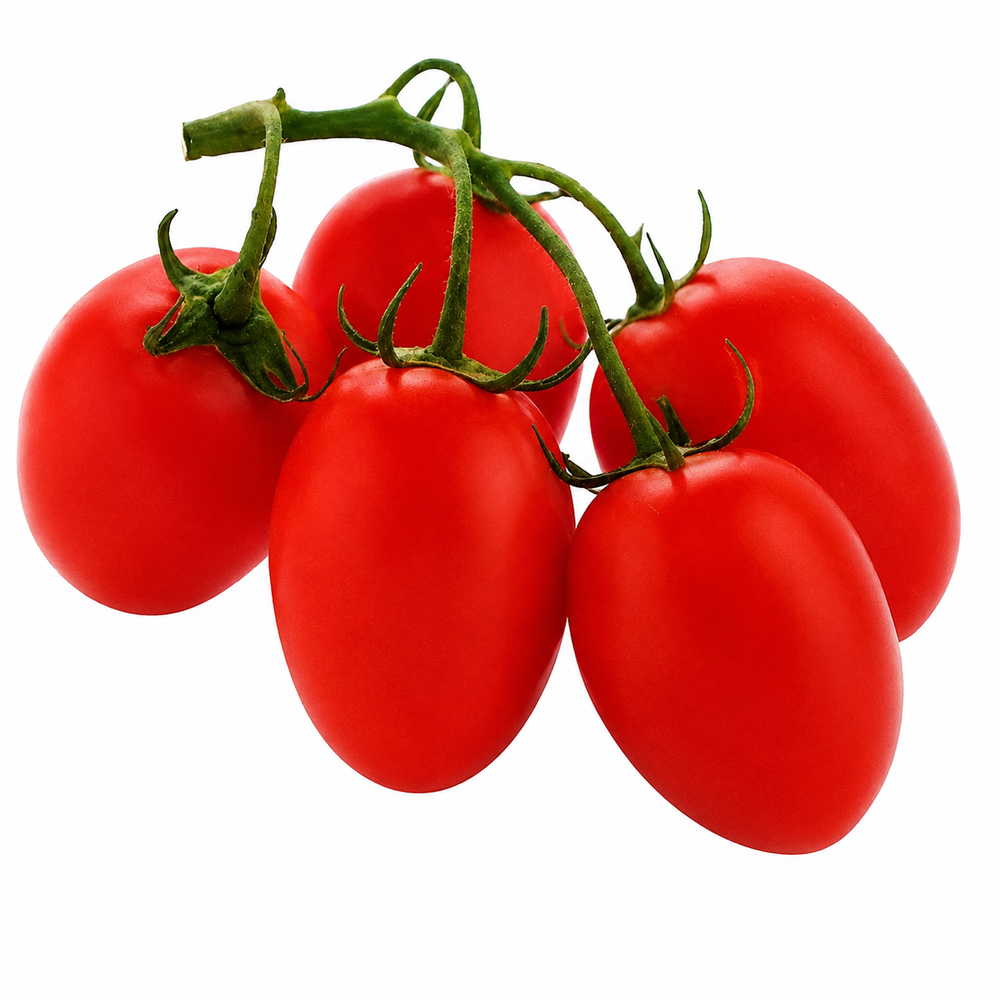 RONCO F1 Hybrid determinate tomato with uniform medium-sized red fruits on a compact bushy plant – tomato seeds for home gardening in Pakistan