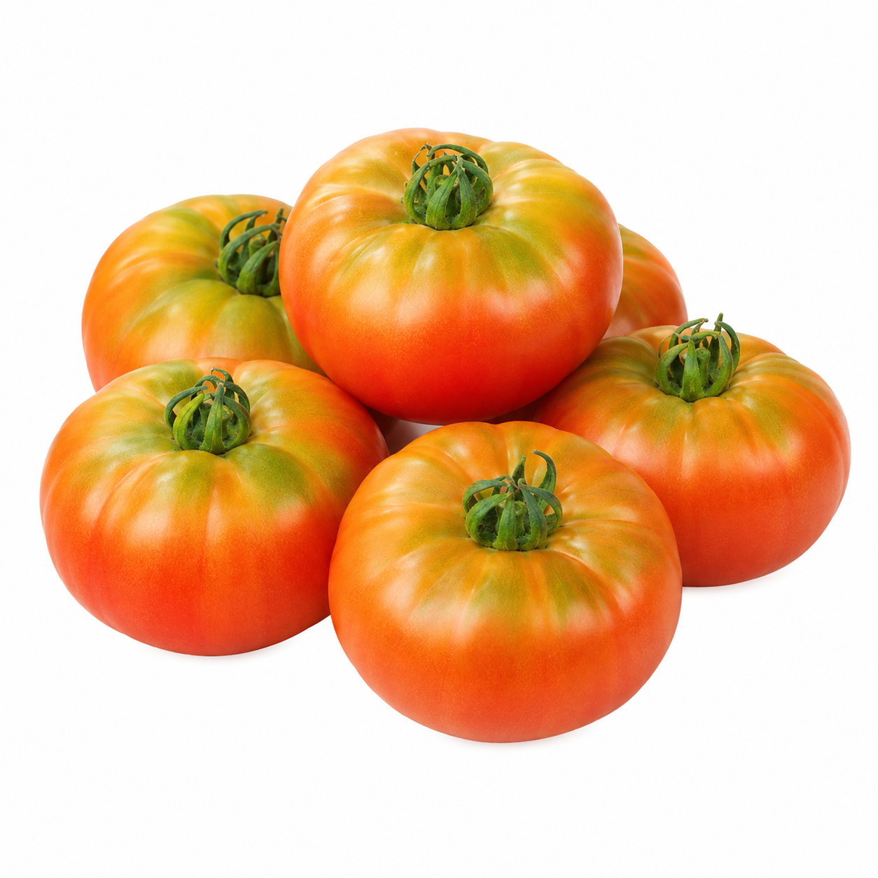 Pomodoro Pantano Romanesco traditional Italian heirloom tomatoes with large fleshy red fruits on vigorous indeterminate vines – tomato seeds for home gardening in Pakistan
