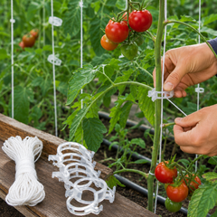 Tomato Twine Deal – 10 Meter Twine with 5 Reusable Plant Support Clips