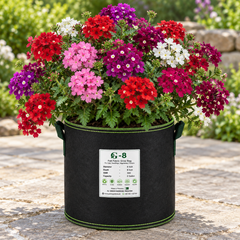 Mixed-colour Verbena plants flowering in a black GREEN GARDENS G-8 felt grow bag